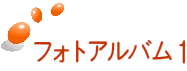 �t�H�g�A���o���P